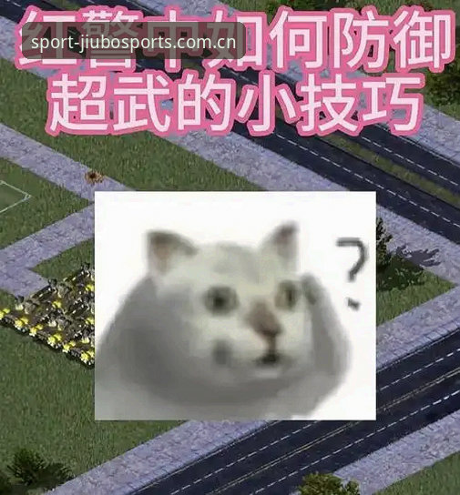 资深玩家实战总结：九博体育平台登录全流程与高效使用心得